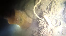 British divers find a US shipwreck from WW1 which has been missing since 1917