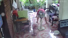 Clever snake waits for dogs to leave before slithering across family's porch in Thailand