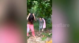 Mango fruit lands on girl's head after failing to catch it with friends