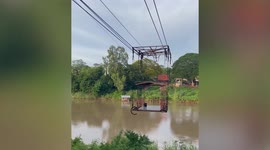 Smart stray dog crosses river on cable car in northern Thailand