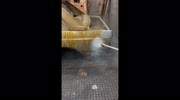 temp