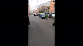 Boar family in Rome: little boars are growing up! #Rome #Cinghiali # first symtoms of African Swine Fever? #ValleAurelia 1/3