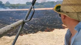Farmers tackle Surrey field blaze by driving a tractor directly through the flames