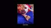 temp