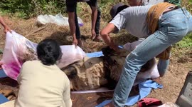 The Living Dead: How The Toraja People Of Indonesia Honor Their Deceased During  Ma'nene' Rituals