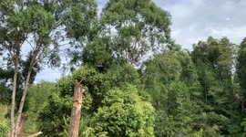 The Living Dead: How The Toraja People Of Indonesia Honor Their Deceased During  Ma'nene' Rituals