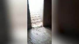 Cornish cider farm FLOODED after sudden thunderstorms