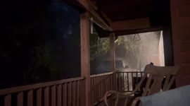 Lightning storm during an immense downpour