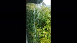 UK weather: Heavy rain in East Sussex causes gutters to overflow