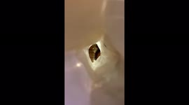 Watching a tea bag on fire has never felt THIS relaxing