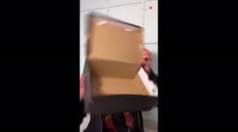 Italian artist reveals how to turn a cardboard box into a life-sized bear mask