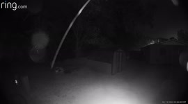 White/spirit is back the next day and almost disappears in thin air but comes back and heads straight for me!!