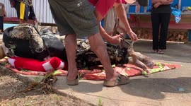 The Living Dead: How The Toraja People Of Indonesia Honor Their Deceased During  Ma'nene' Rituals