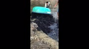 temp