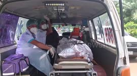 Overworked elephant rips apart owner after 'being forced to carry logs under scorching heat' in Thailand