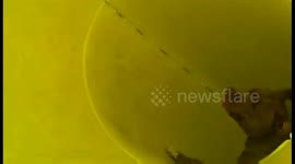 Dog Falls Down Slide