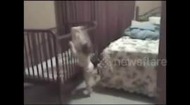 Girl Climbs Into Crib