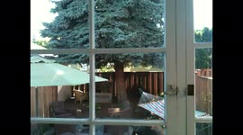 Doll Wants to Come In