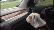 temp