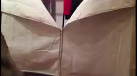 Cat Leaps Out of Wardrobe