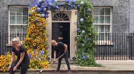 10 Downing Street is decorated with sunflowers ahead of Ukraine Independence Day