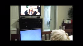 Video Conference Dog