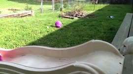 Puppy and Girl on Slide