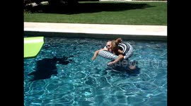 Dog Rides on Man's Back