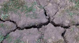 UK drought crisis: Severely cracked earth in London park