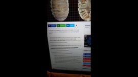 New Species News found around the world