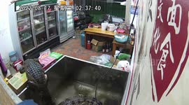 Crocodile climbs out of its tank while trying to escape from a restaurant in China
