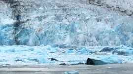 Up close calving of sawyer glacier at tracy arm Fjord in Suwanee, USA