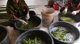A Resident in Belitung, Indonesia “Conjured” Purun Wild Plants Into Environmentally Friendly Straws