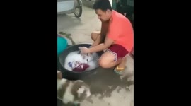 Little puppy jumped into the laundry tub!