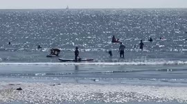 Cornwall basks in sunshine for last Bank Holiday of year