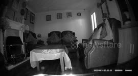 haunted house  footage  orbs  to see creepy