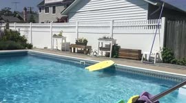 Dog that overcame severe neglect and abuse learned to love life!