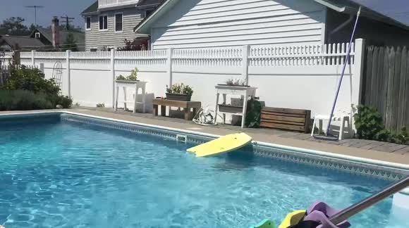 Dog that overcame severe neglect and abuse learned to love life!