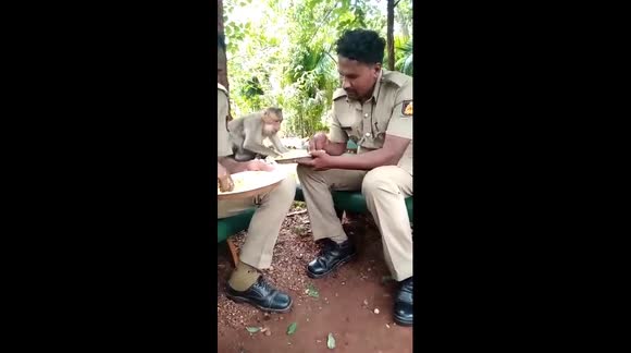 Funny moment policeman and hungry monkey share meal
