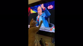 When a cat wants to be a reporter in a big case interview on TV!