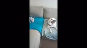 temp