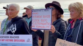 Stop Shark Nets  Protest on Manly Beach 2022 Alternatives to shark nets protect wildlife from inhumane deaths