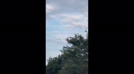 Pilot arrested after threatening to crash plane into Walmart in Mississippi