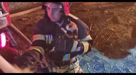 Firefighters rescue lucky kitten from huge blaze after rocket attack on Kharkiv, Ukraine
