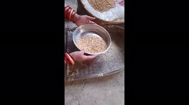 The Indian housewife is cleaning the dal in the house in sambalpur .