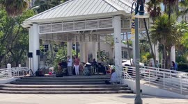 Mid-90s Temperatures Sent Humans and Iguanas Scrambling for Shade in Fort Lauderdale Florida