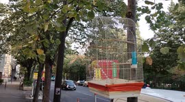 Two poor exotic birds locked in cage right in the street. Paris, avenue de Choisy. 5 sept 2022