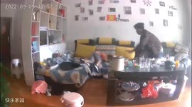 Chinese father rushes to protect their child as earthquake rocks flat