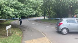 Police arrest man on suspicion of murder after 28-year-old woman is killed in village hit-and-run