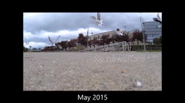 Man recovers camera five months after it was stolen by seagull